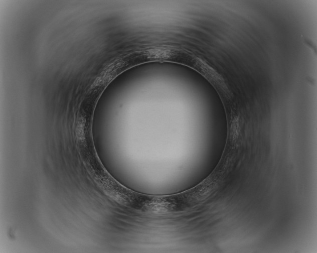 X0000100960209200806241535