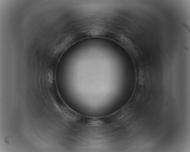 X0000100960210200806241535
