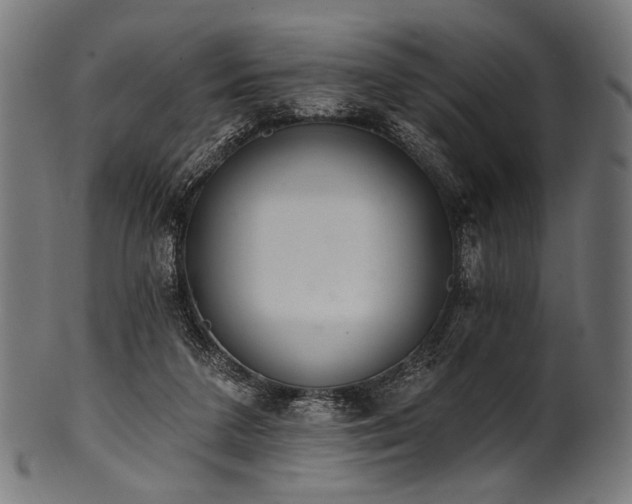 X0000100960211200806241535