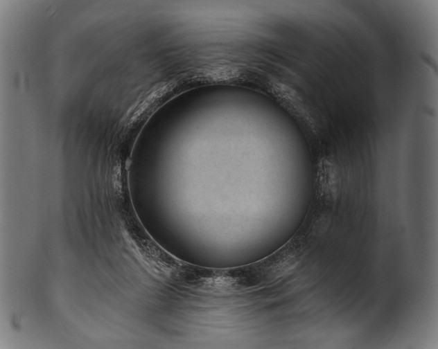 X0000100960212200806241535