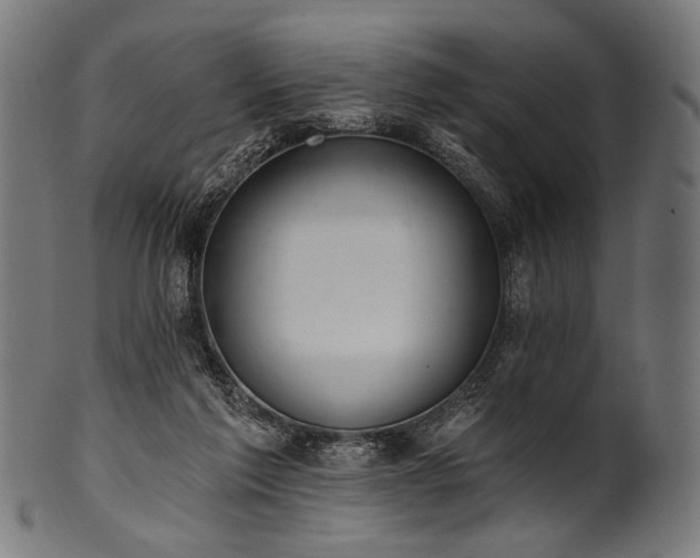 X0000100960213200806241535