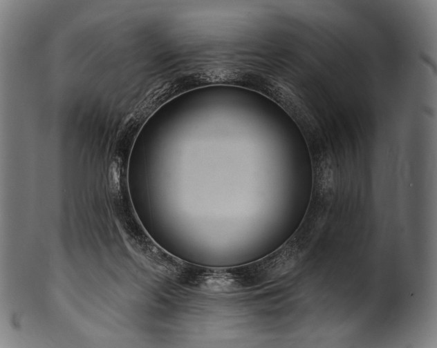 X0000100960214200806241535
