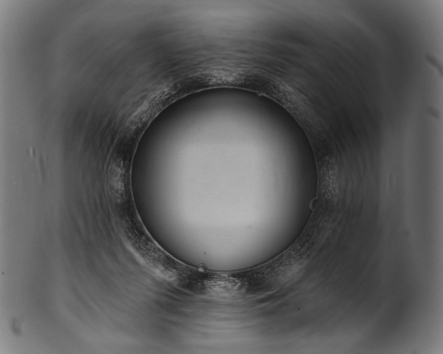 X0000100960215200806241535
