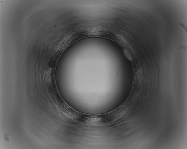 X0000100960217200806241535