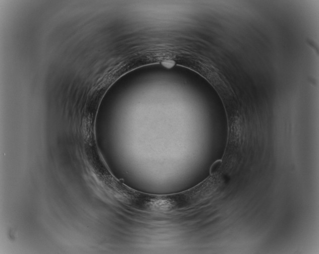 X0000100960218200806241535