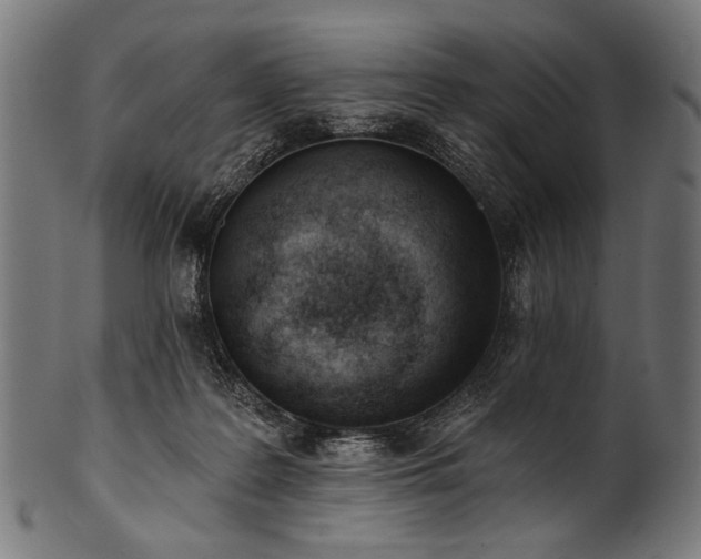 X0000100960219200806241535