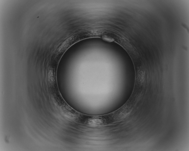 X0000100960220200806241535