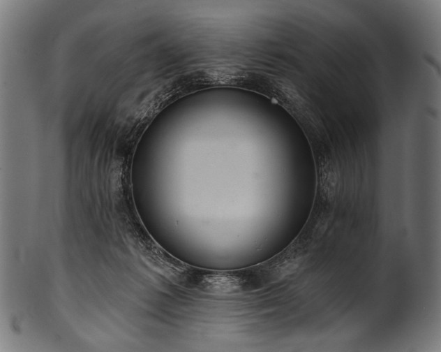 X0000100960221200806241535