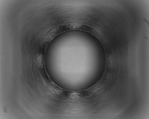 X0000100960222200806241535