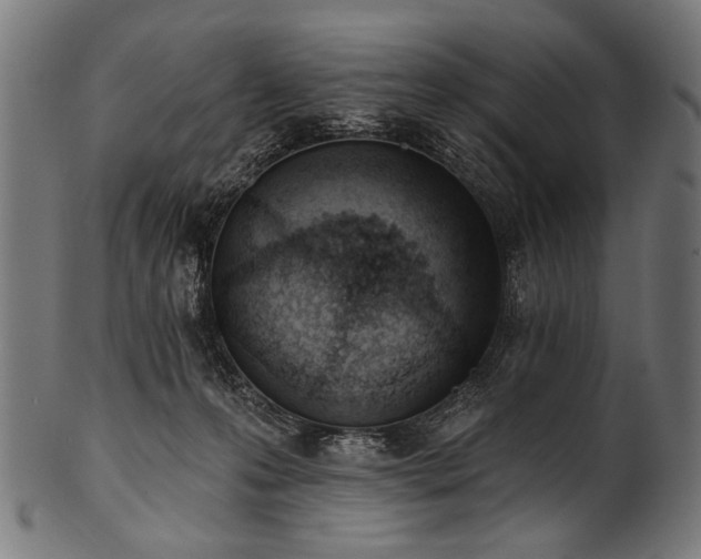 X0000100960223200806241535
