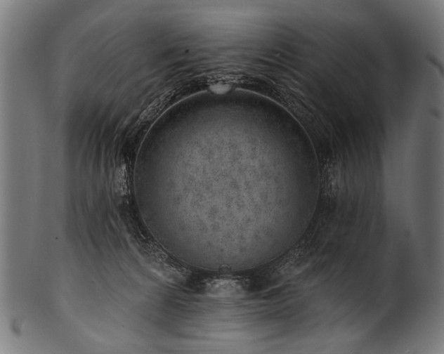 X0000100960224200806241535