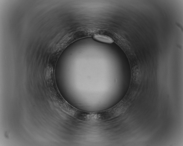X0000100960225200806241535
