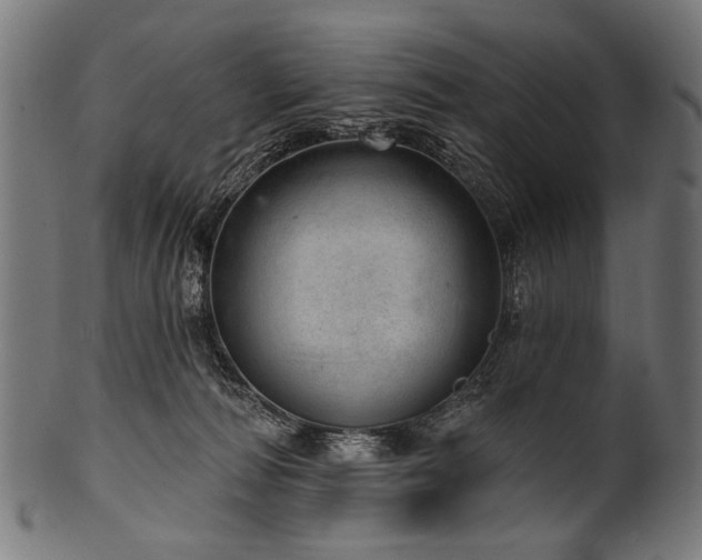 X0000100960226200806241535