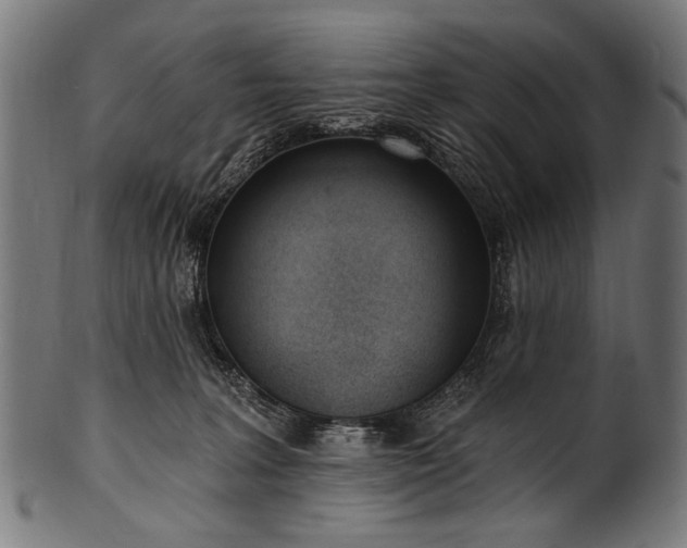 X0000100960227200806241535