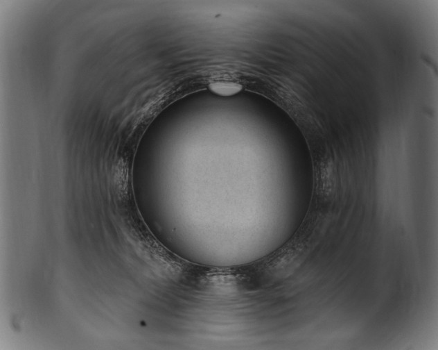X0000100960228200806241535