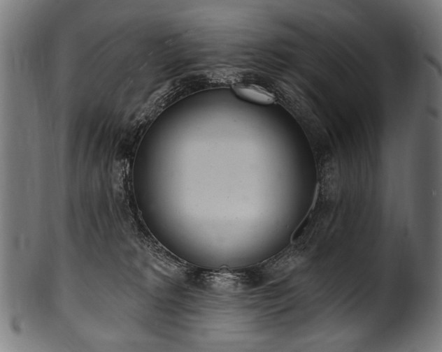 X0000100960229200806241535
