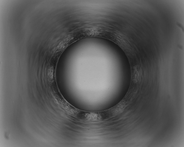 X0000100960230200806241535