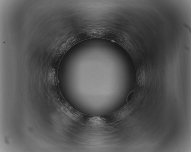 X0000100960231200806241535