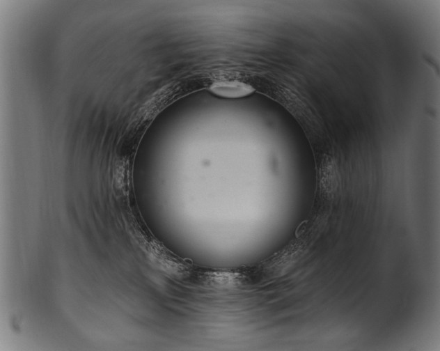 X0000100960233200806241535