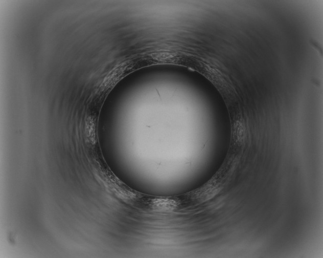 X0000100960234200806241535