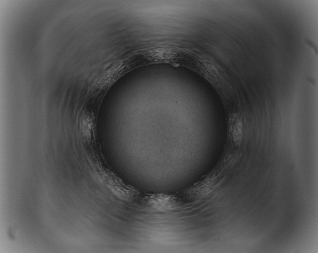 X0000100960235200806241535