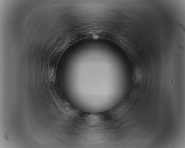 X0000100960236200806241535
