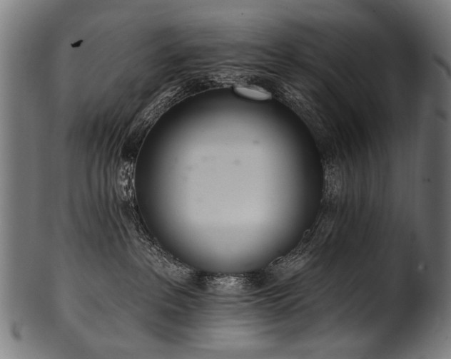 X0000100960237200806241535