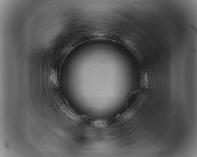 X0000100960238200806241534