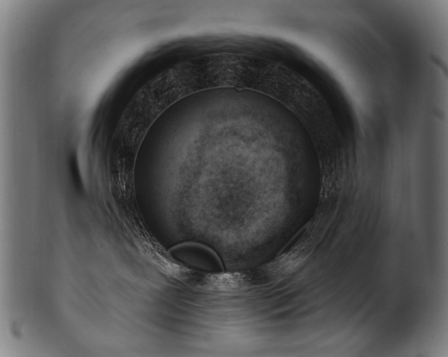 X0000100960239200806241534