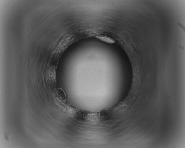 X0000100960240200806241534