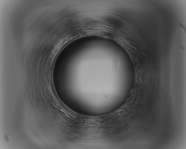 X0000100960241200806241534