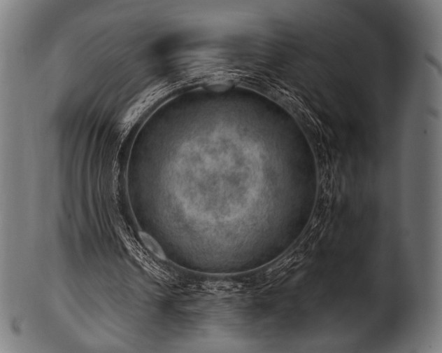 X0000100960242200806241534