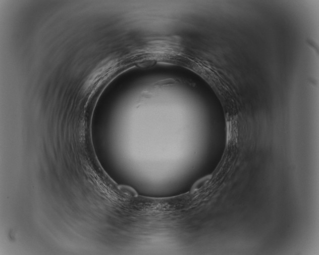X0000100960243200806241534