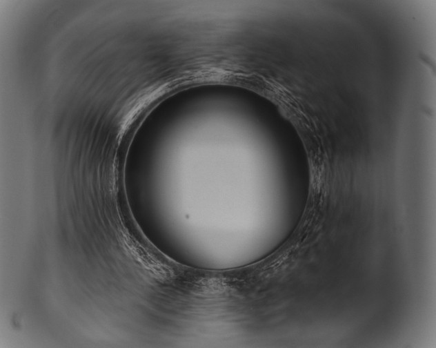 X0000100960244200806241534