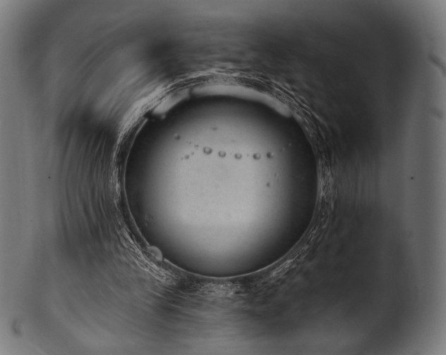 X0000100960245200806241534