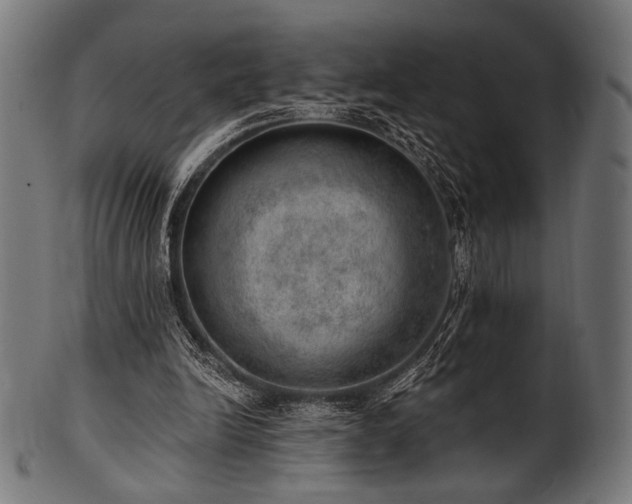 X0000100960246200806241534