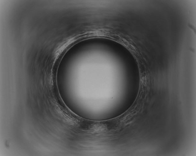 X0000100960248200806241534