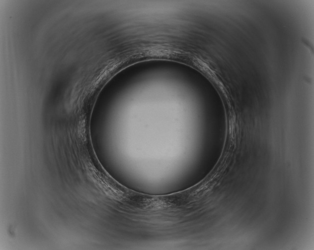 X0000100960249200806241534