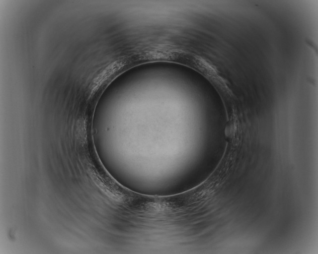 X0000100960250200806241534