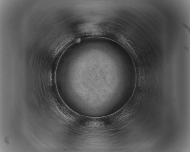 X0000100960251200806241534