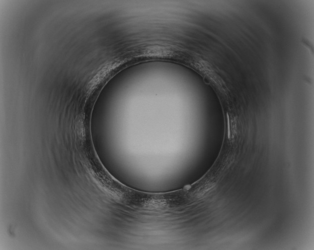 X0000100960252200806241534