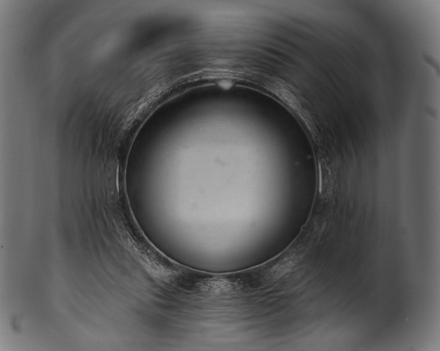 X0000100960253200806241534