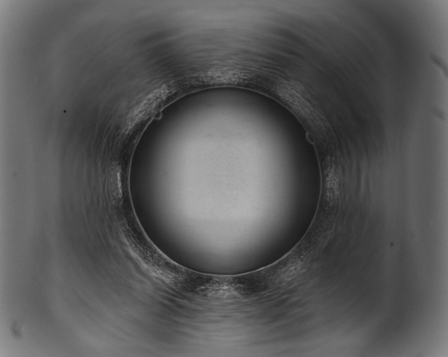 X0000100960254200806241534