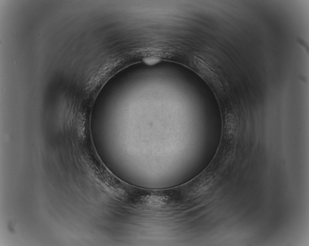 X0000100960255200806241534