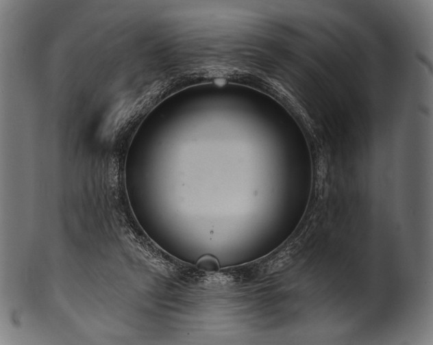X0000100960257200806241534