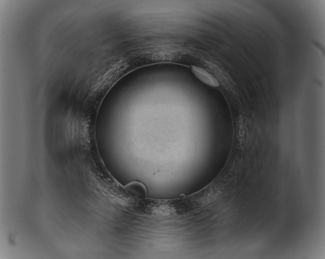 X0000100960258200806241534