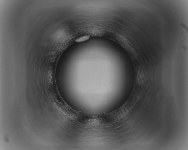 X0000100960259200806241534