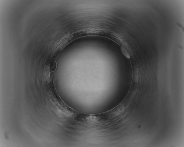 X0000100960261200806241534