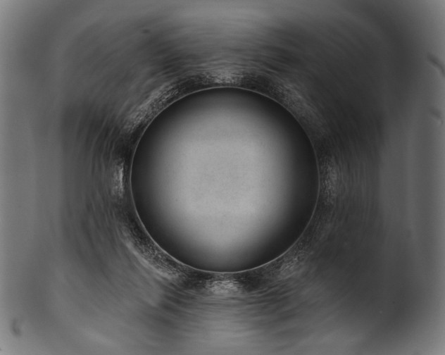 X0000100960262200806241534