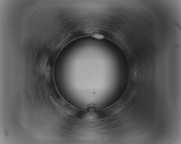 X0000100960263200806241534